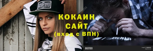 соль ск Алексин