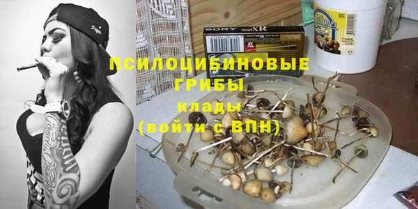 соль ск Алексин
